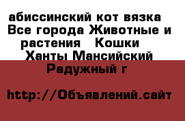 абиссинский кот вязка - Все города Животные и растения » Кошки   . Ханты-Мансийский,Радужный г.